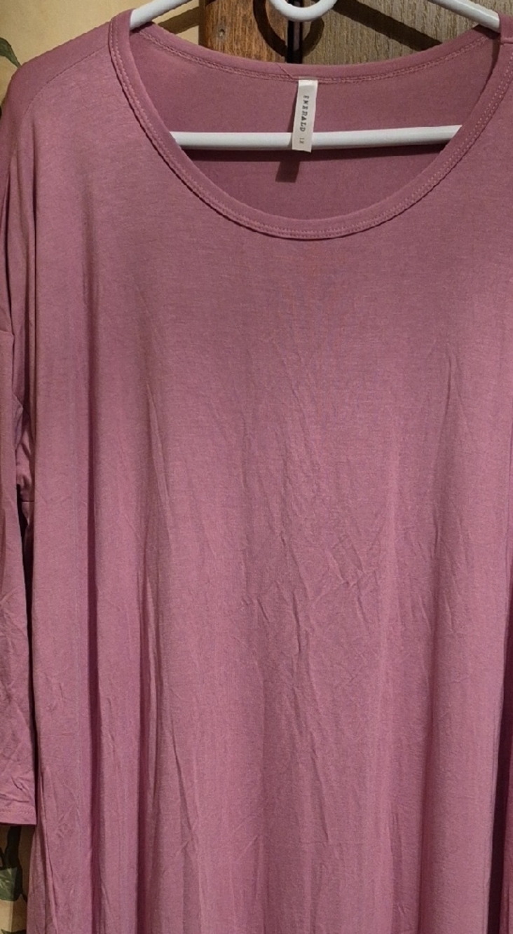 Emerald Long Sleeve OVERSIZED DRESS  in Soft Pink Size 1X